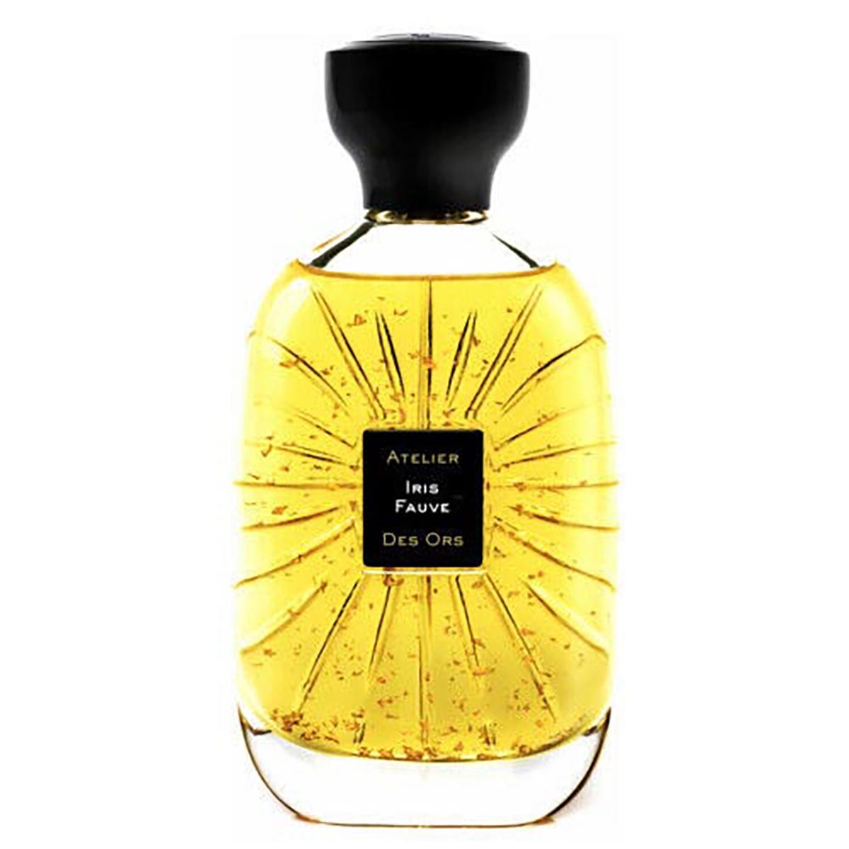 Atelier des Ors Unisex Iris Fauve EDP Spray 3.3 oz Fragrances 3760027140192