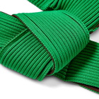 LASTFRAME Women's Two Tone Obi Tote - Large in Green