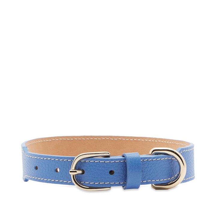 Photo: Sporty & Rich Grained Leather Dog Collar in Ocean