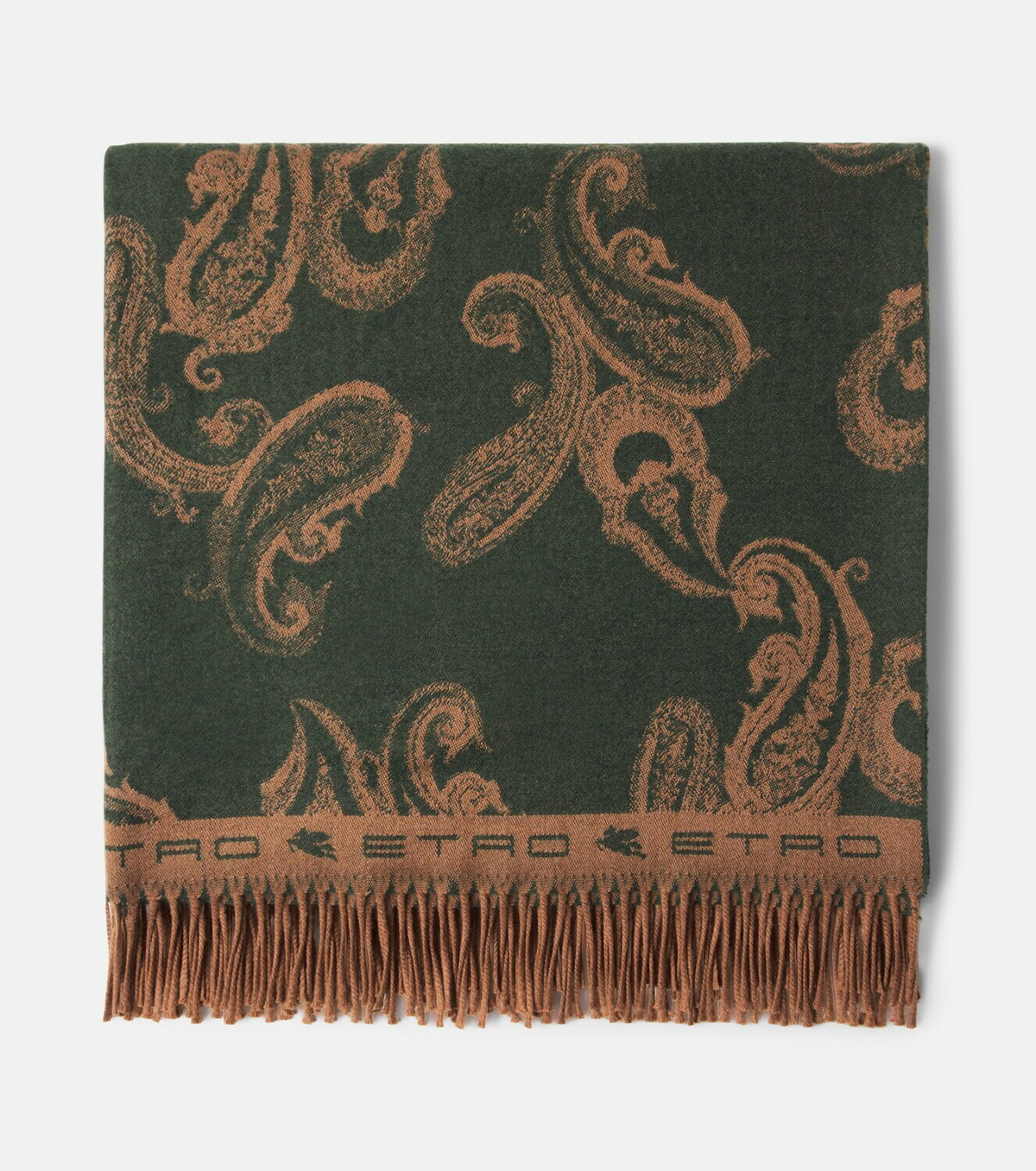 Etro Fringed paisley wool throw