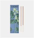 Loewe Home Scents Ivy incense refill sticks