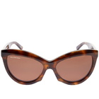 Balenciaga BB0217S Sunglasses in Havana/Brown