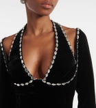 Rasario Crystal-embellished velvet gown