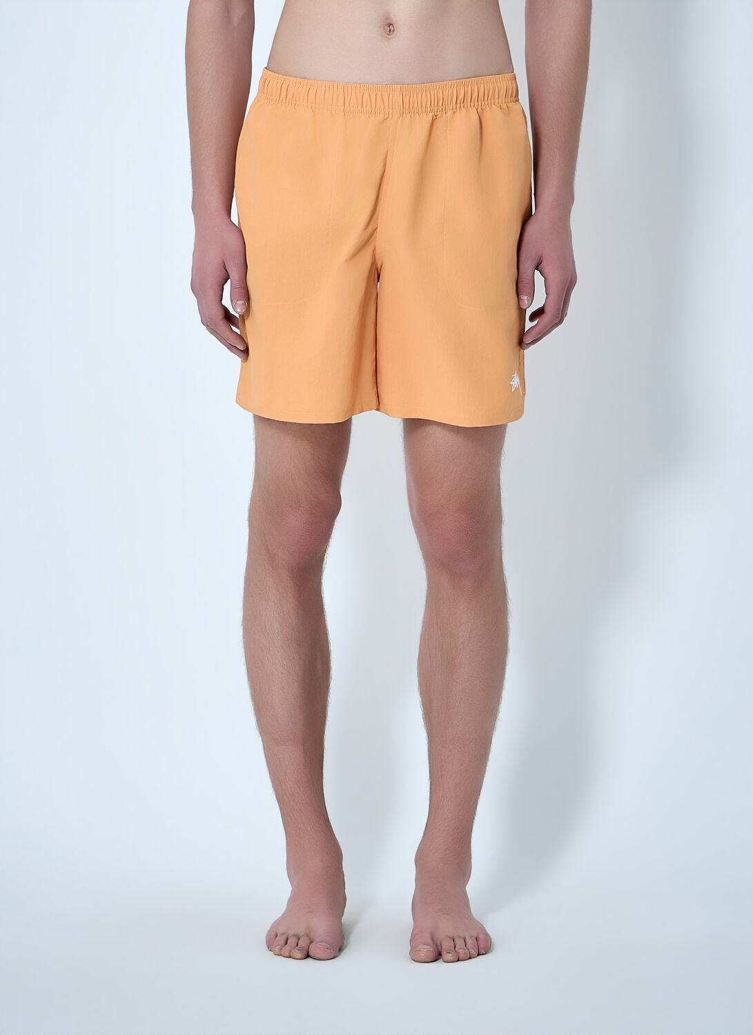 Stüssy Water Stock Shorts