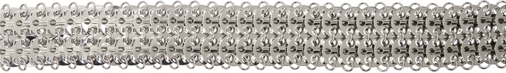 Photo: Rabanne Silver Jewel Belt
