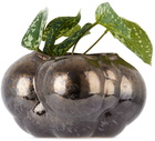 Forma Rosa Studio Brown Mini Botryoidal Planter