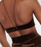 Alex Perry Halterneck velvet bralette