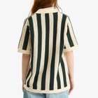 Adidas Women's x Clot Knitted Polo Shirt in Green Night/Cream White