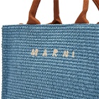 Marni Women's Small Basket Bag in Opal/Moca 