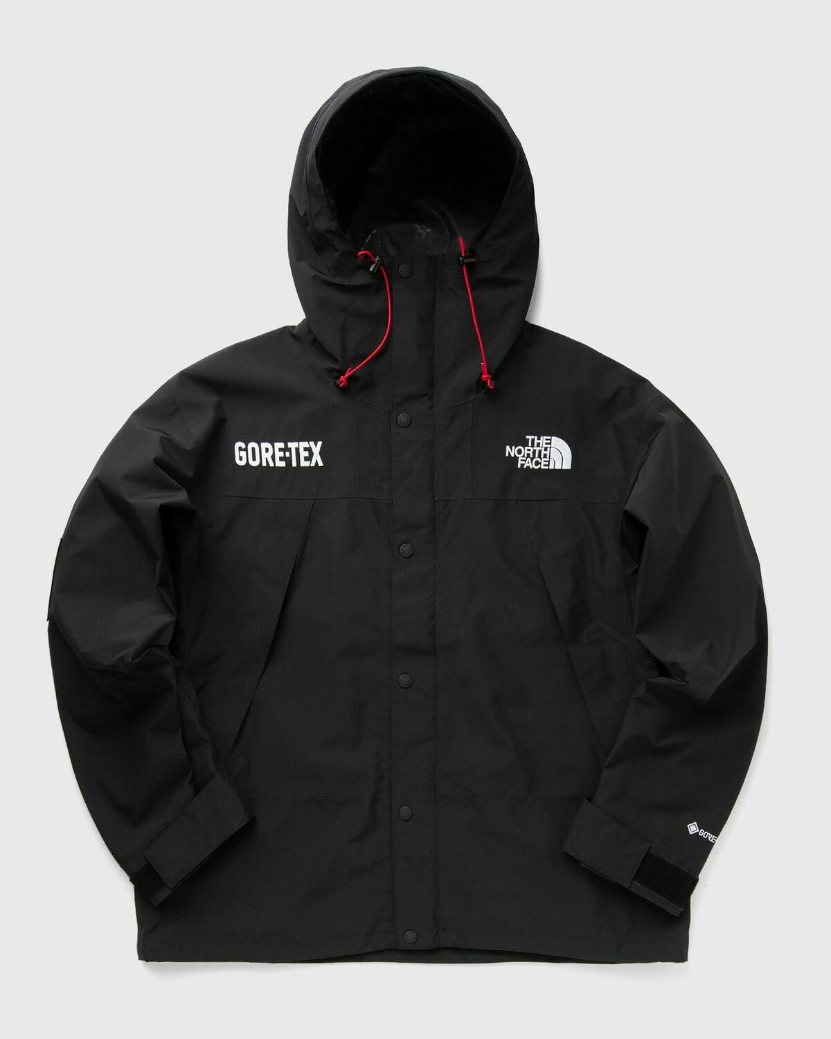 The North Face GORE-TEX MOUNTAIN JACKET Black Mens Shell Jacket