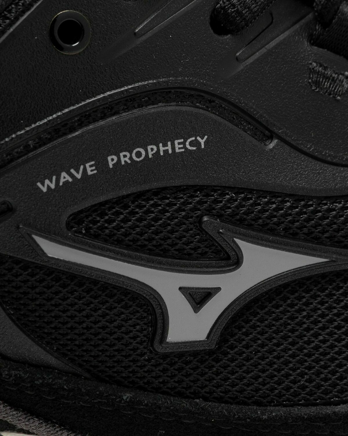 mizuno prophecy
