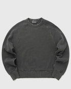 Carhartt WIP Torion Sweat Grey Womens Sweatshirt