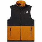 The North Face Men's Denali Fleece Vest in Timber Tan