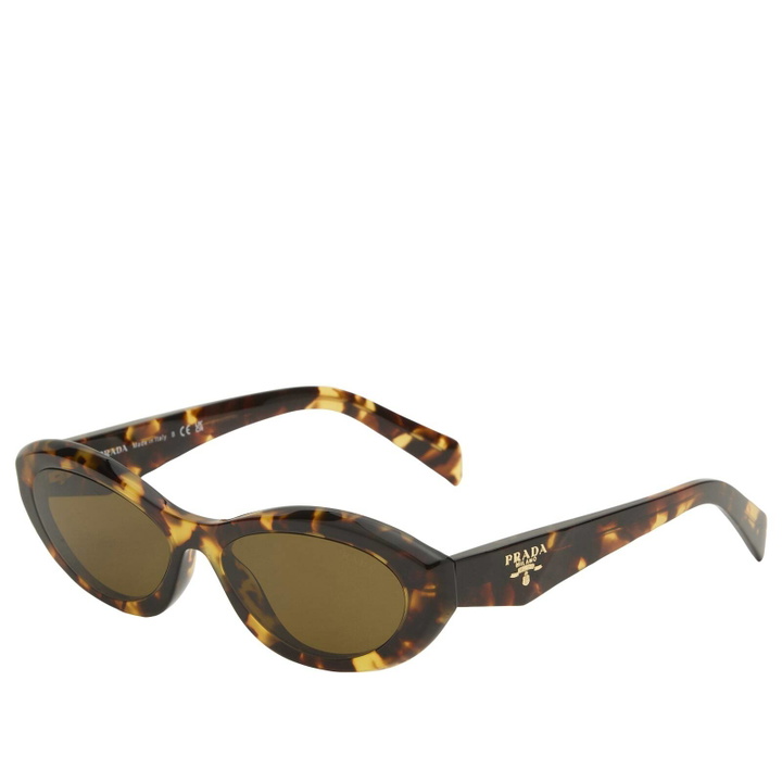 PRADA - Catwalk Cat-eye Acetate Sunglasses Prada display picture 3