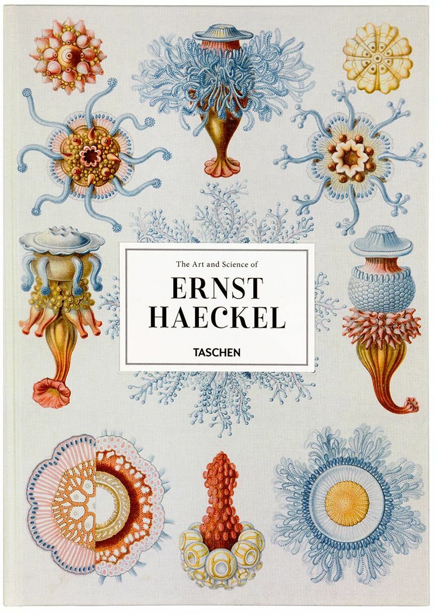 TASCHEN The Art and Science of Ernst Haeckel, XXL Taschen