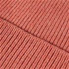 Colorful Standard Merino Wool Beanie in Rosewood Mist