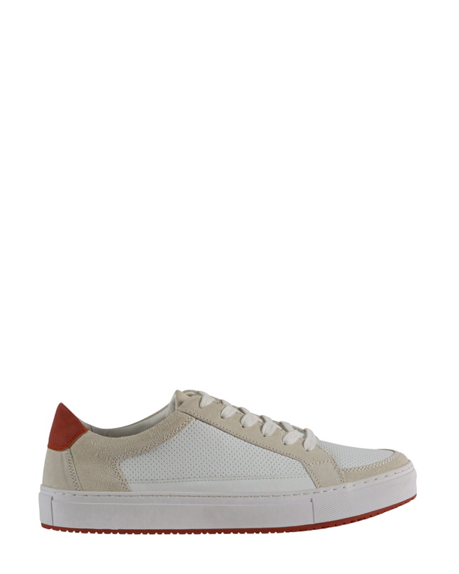 Photo: Steve Madden Ryckie Sneakers in White