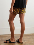 SAINT LAURENT - Straight-Leg Printed Twill Drawstring Shorts - Brown