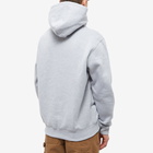 Pass~Port Men's Featherweight Embroidery Hoody in Ash