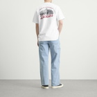 Dickies Men's Wellsville T-Shirt in White