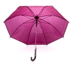 HAY Canopy Umbrella in Burgundy 