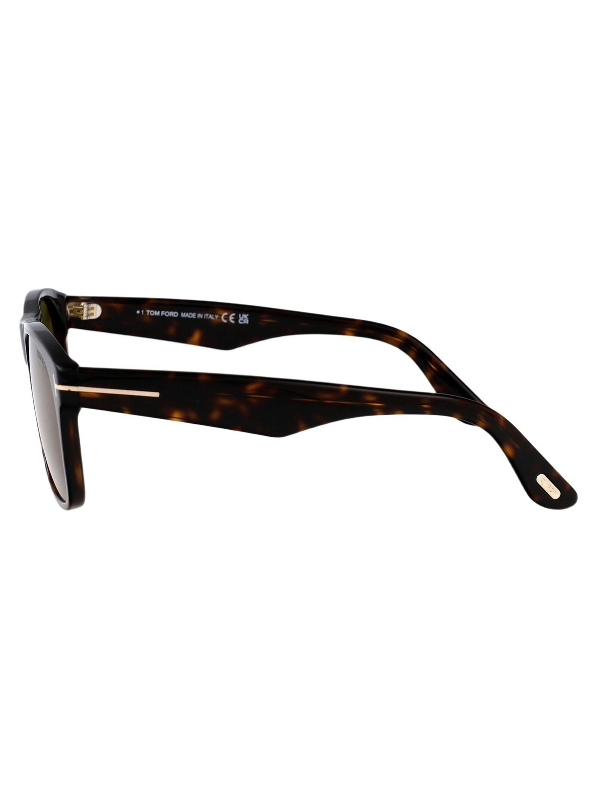 Tom Ford Eyewear Marlon-02 Sunglasses