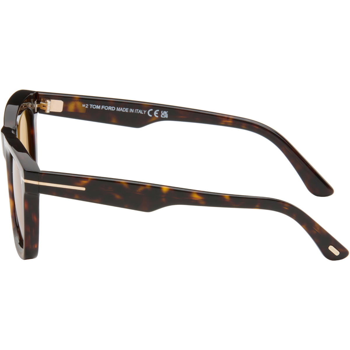 TOM FORD Brown Lelio Sunglasses