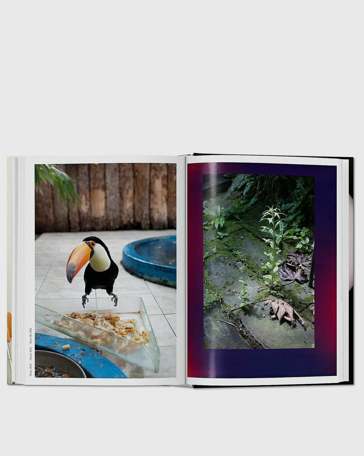 Taschen Four Books. 40th Ed By Wolfgang Tillmans Multi Art