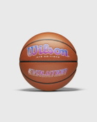 Wilson Evo Editions 2024 Autism Speaks Basketball Size 6 Brown Sports Equipment