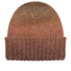 Palmes Men's Alpaca Beanie in Brown 