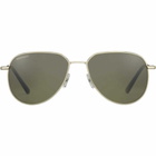 Serengeti Eyewear Haywoodss543003