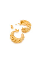 Alighieri The Rocky Road 24kt Gold-plated Hoop Earrings - One Size