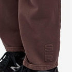 Stylerunner Women's Median Straight Leg Jogger Pant in Sepia
