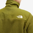 The North Face Women's Ripstop Denali Fleece Jacket in Forest Olive