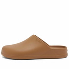 Crocs Dylan Clog in Sepia