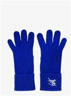 Burberry   Gloves Blue   Mens