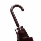 HAY Canopy Umbrella in Burgundy 