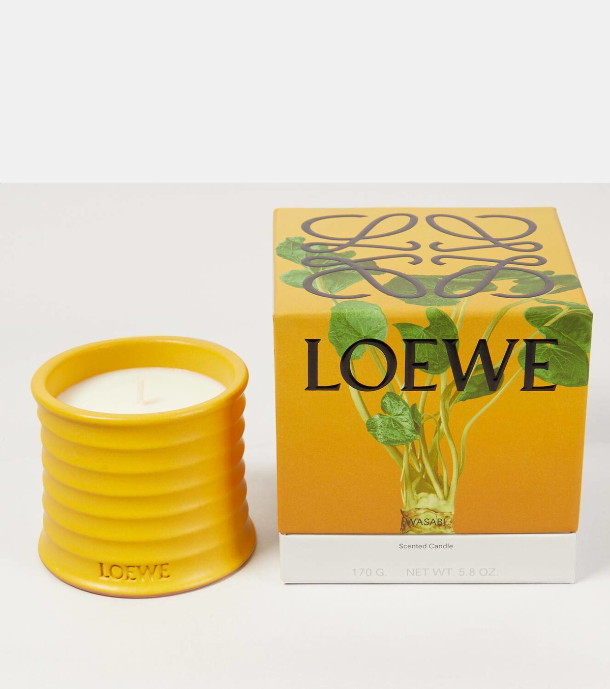 Loewe Home Scents Wasabi Small scented candle