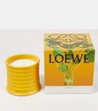 Loewe Home Scents Wasabi Small scented candle