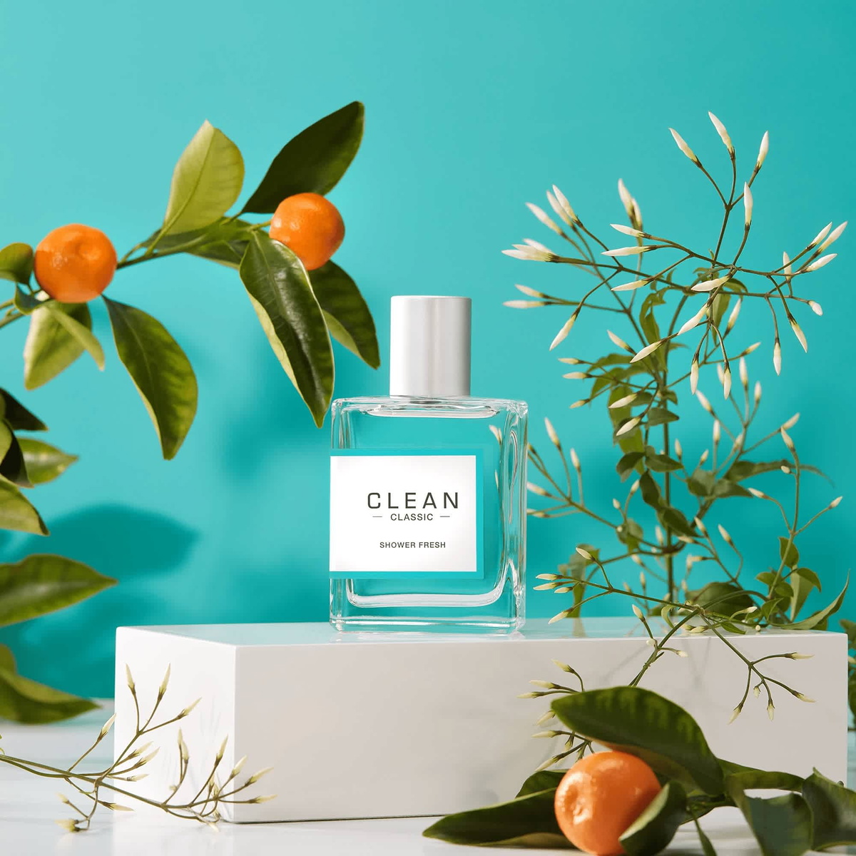 CLEAN Ladies Shower Fresh EDP Spray 2 oz Fragrances 874034010638