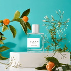 CLEAN Ladies Shower Fresh EDP Spray 2 oz Fragrances 874034010638