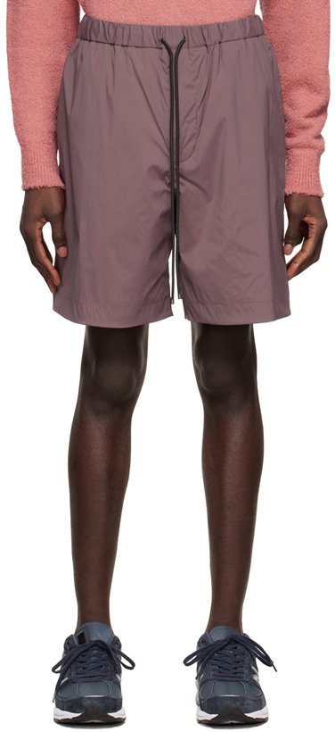 Photo: AURALEE Taupe Easy Shorts