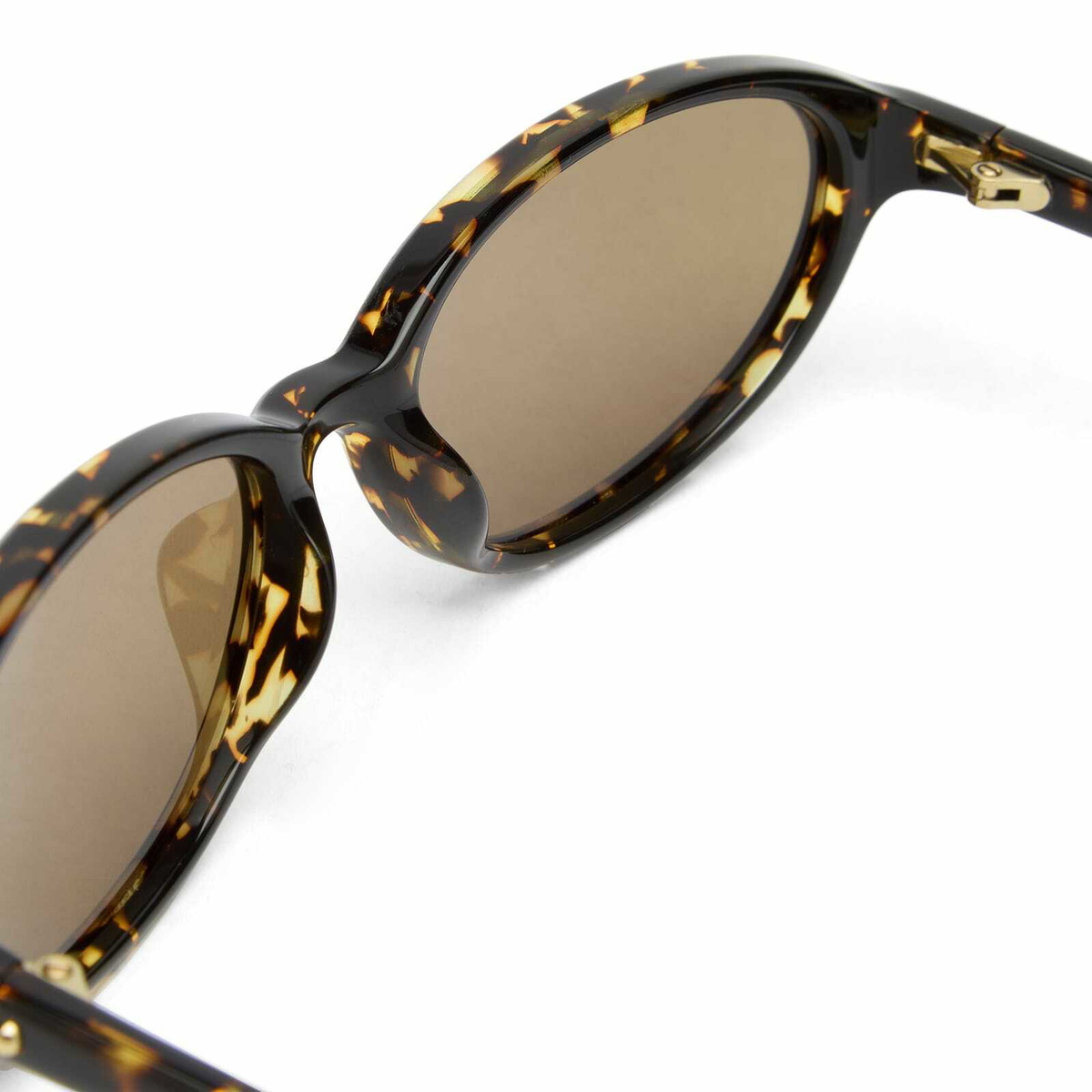 CHIMI Ellipse Sunglasses in Ferel Tortoise/Brown 