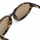 CHIMI Ellipse Sunglasses in Ferel Tortoise/Brown 