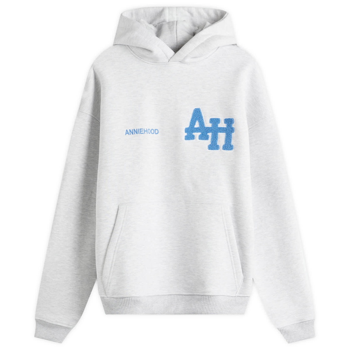 Photo: ANNIE HOOD Men's College Hoodie in Grey