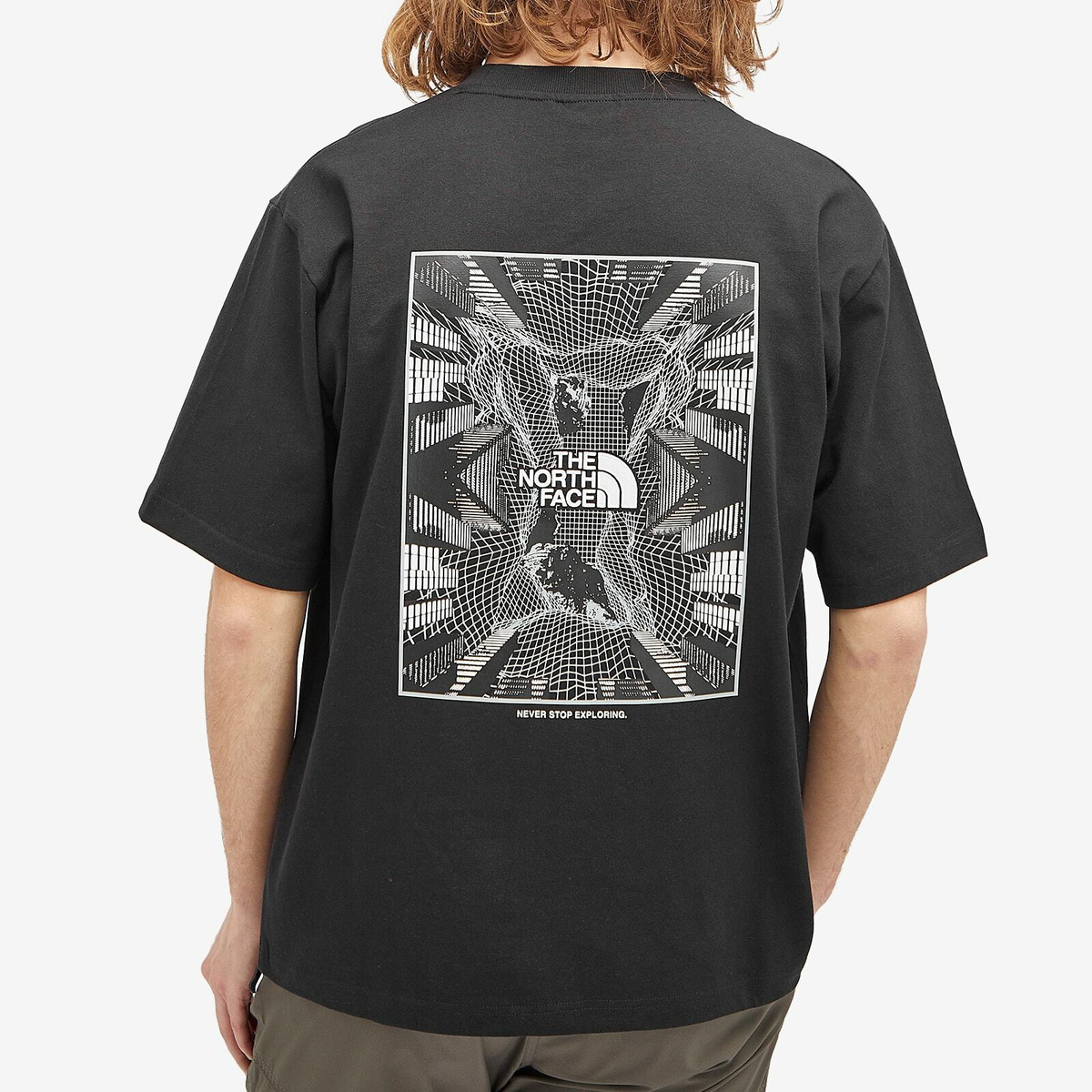 【超レア!!!】THE NORTH FACE ◆ S/S TNF Graphic Tee The North Face Tee Lunar Snake Graphic Short Sleeve T-Shirt