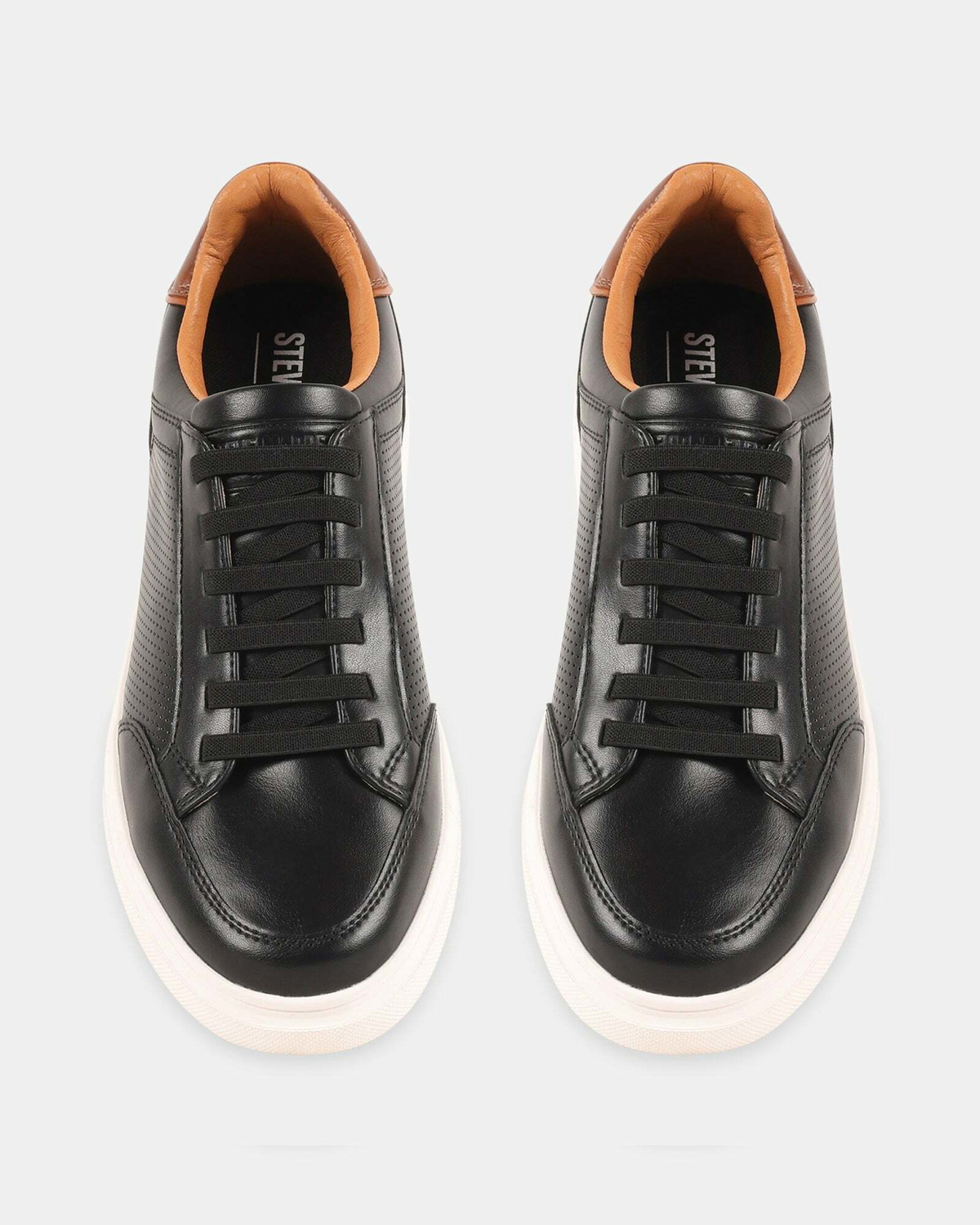 Steve Madden Saylem Sneakers in Black