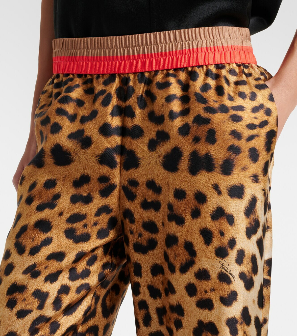 Roberto Cavalli Leopard-print silk straight pants