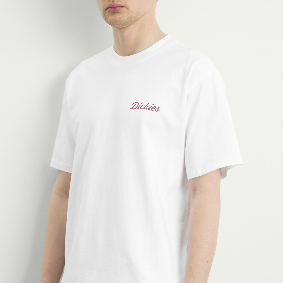 Dickies Men's Wellsville T-Shirt in White