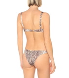 Reina Olga Rings bikini bottoms
